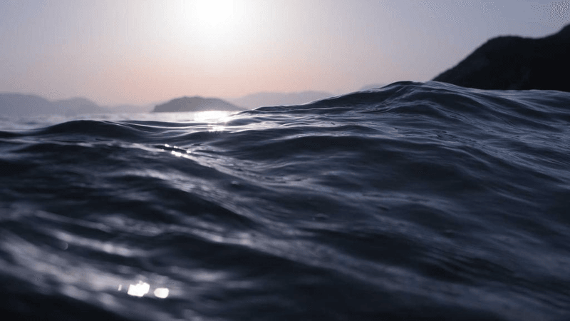 Kitchen - professional stock photography